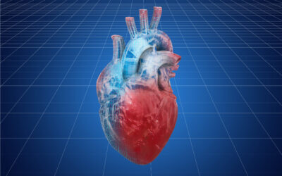 La forma del corazón predice el riesgo cardiovascular